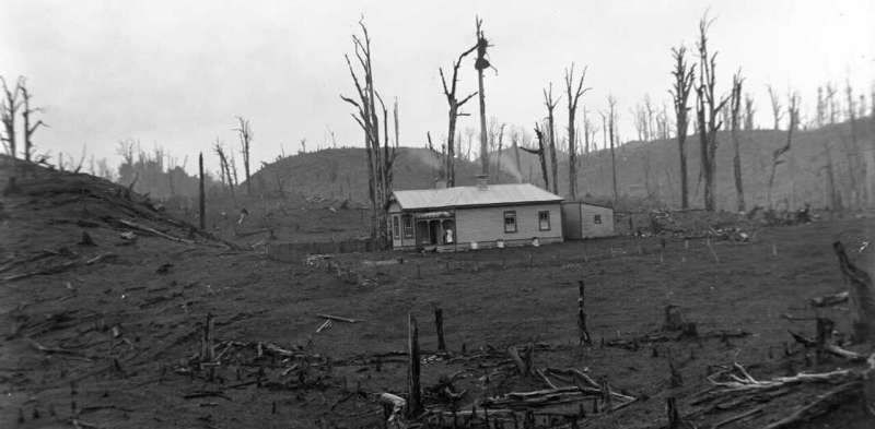 Nation-building or nature-destroying? Why it’s time NZ faced up to the environmental damage of its colonial past