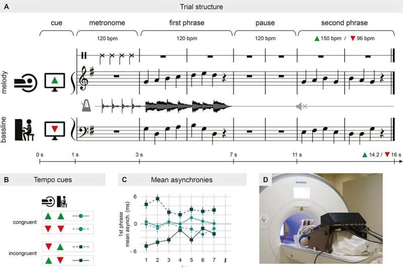 Neuronal processes involved in musical interactions