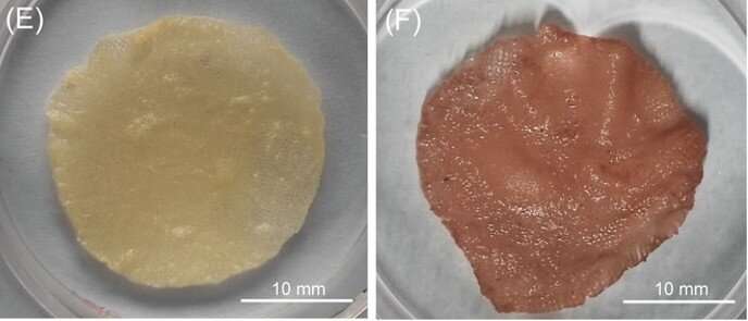 New 3D-printing ink could make cultured meat more cost-effective