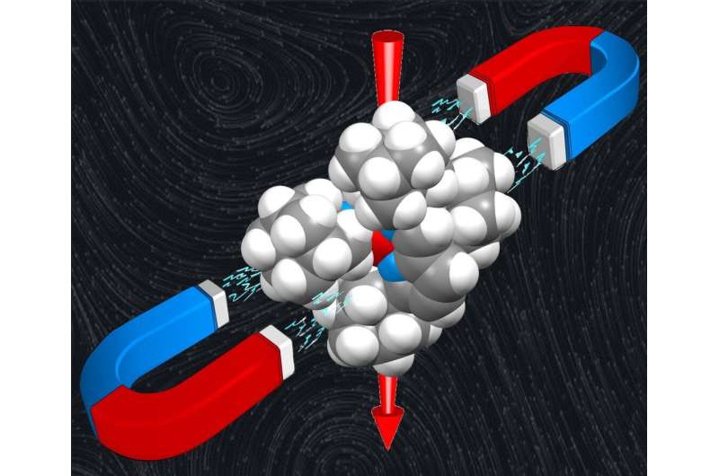 New advances in the search for molecular magnets