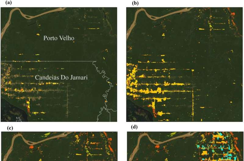New analysis finds pandemic didn't dampen deforestation