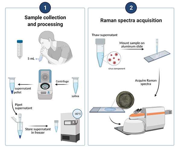 New and improved SARS-CoV-2 detection method using Raman spectroscopy and machine learning