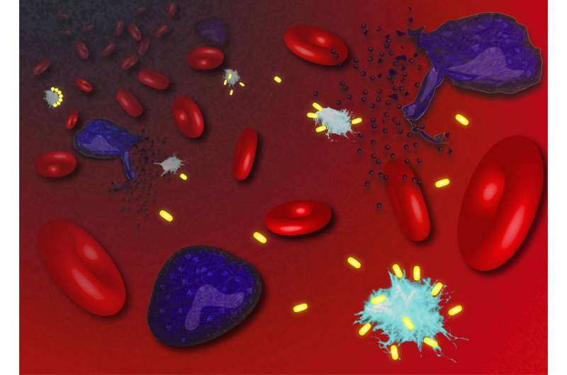 New approach against chronic inflammation