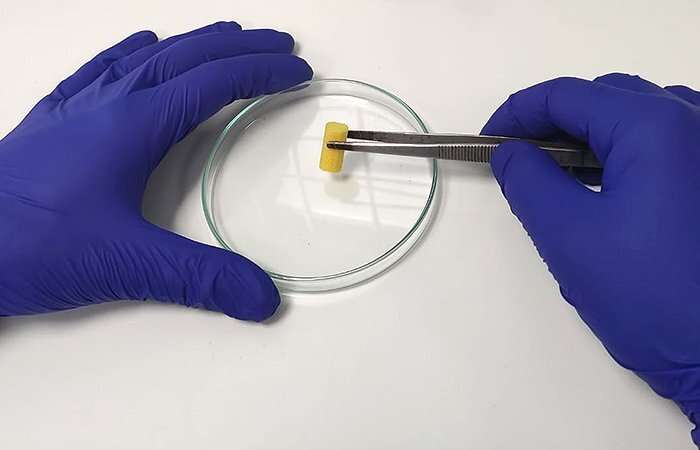 New biomaterial capable of regenerating bones and preventing infections