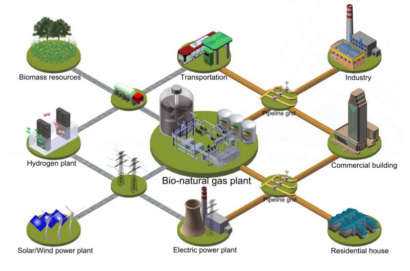 New catalytic approach directly converts raw biomass into natural gas with low carbon footprint
