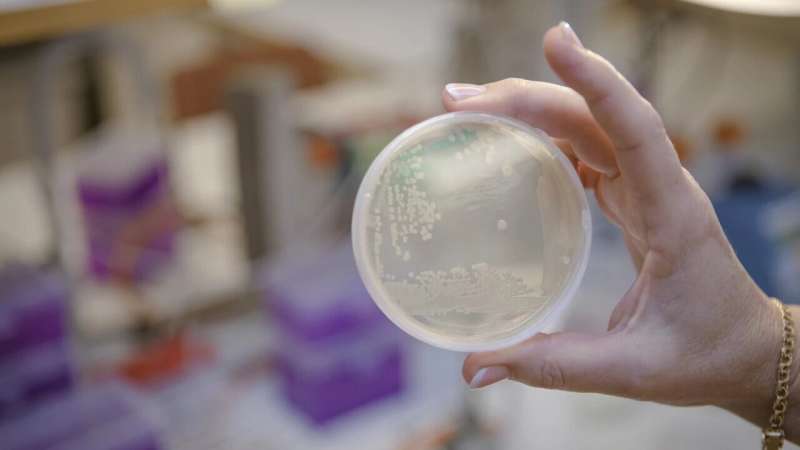 New class of antibiotics against resistant bacteria