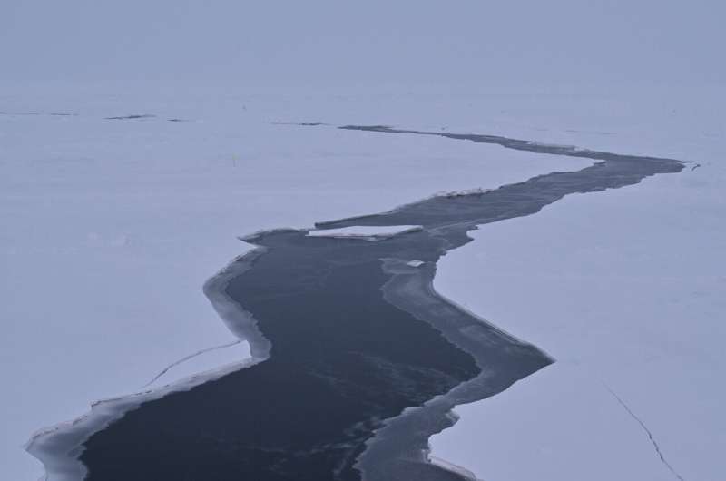New dataset reveals biological “treasure trove” of Arctic Ocean