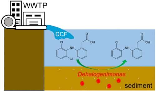 New Dehalogenimonas sp. strain is capable of driving dechlorination of diclofenac