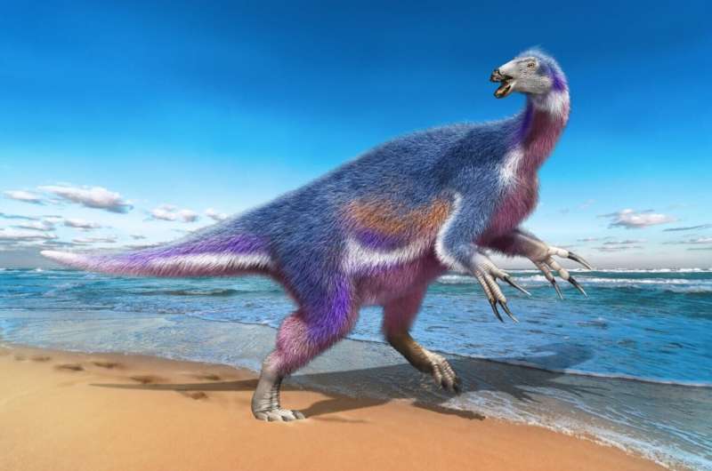 New dinosaur species used fearsome claws to graze along the coast
