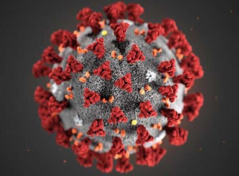 New estimates suggest ‘predator’ virus exploits many types of frailty and ill health