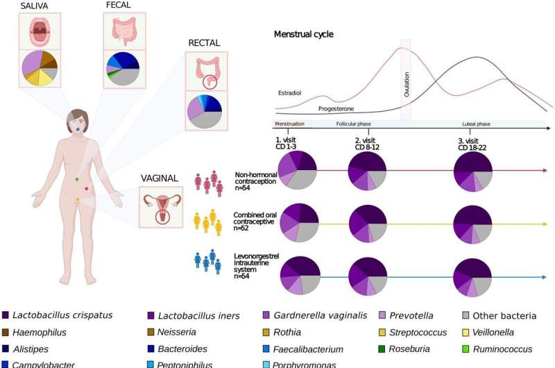 New findings in the vaginal microbiome