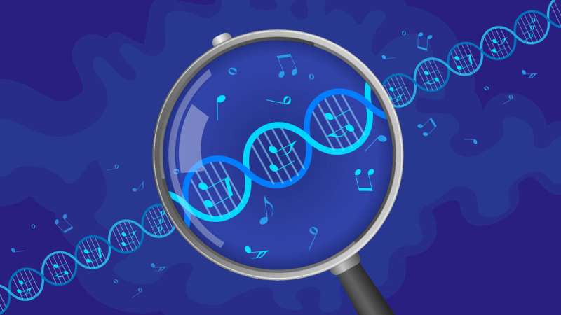 New findings on the influence of DNA on musicality