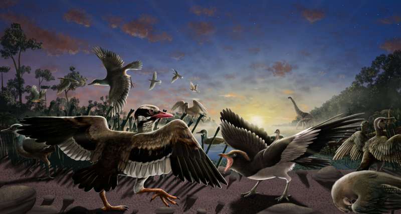 New fossil birds discovered near China's Great Wall – one had a movable, sensitive “chin”