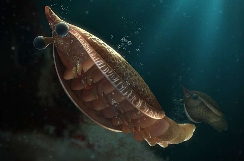 New fossil reveals origin of arthropod breathing system