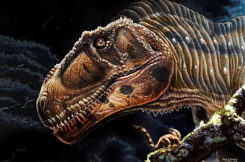 New giant carnivorous dinosaur discovered with tiny arms like T. Rex