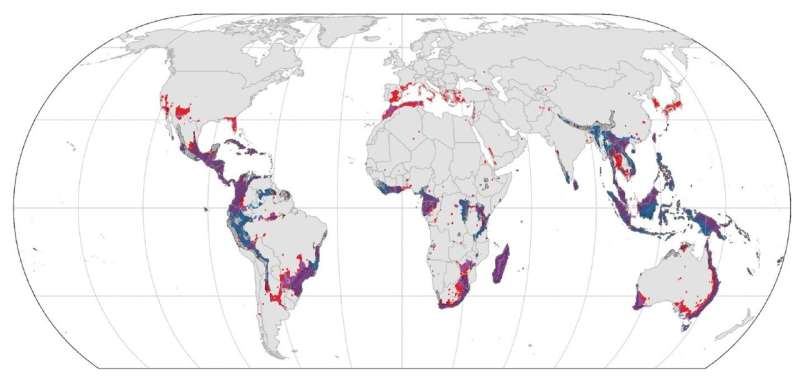 New global map of ant biodiversity reveals areas that may hide undiscovered species