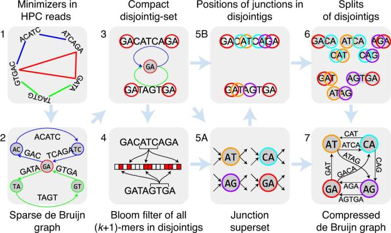 New, highly accurate algorithm scales ability to assemble complete genomes