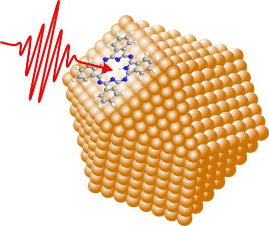 New insights into binding configuration and mobility of molecules on nanoparticle surfaces — Office of University and Science Co