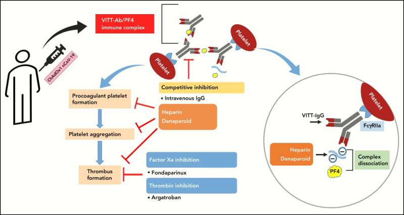 New insights into role of anticoagulants in patients with thrombosis after SARS-CoV-2 vaccination