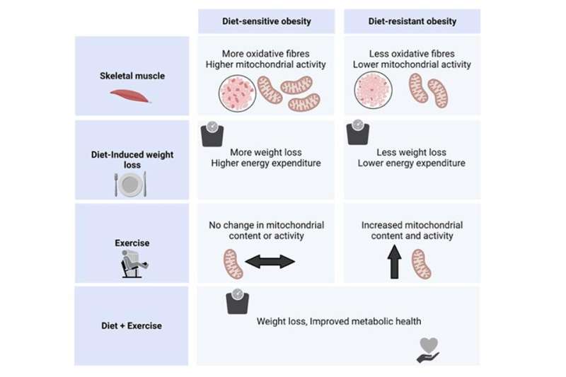 New insights on how some individuals with obesity can lose weight, and keep it off