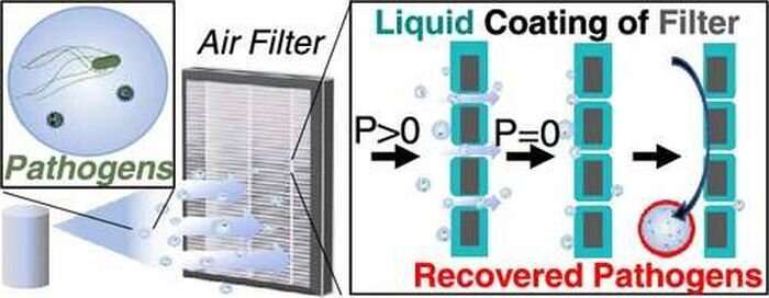 New liquid-coated air filters can improve early detection and analysis of airborne pathogens