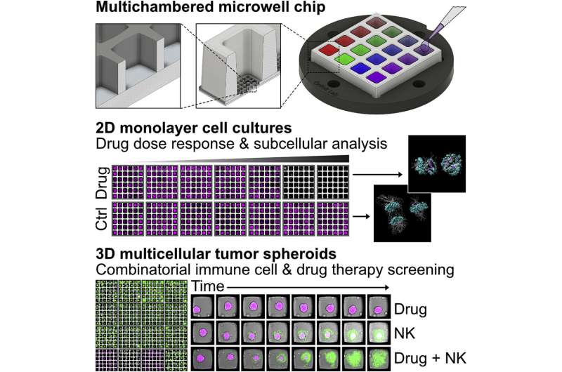 New microchip with specifications for screening and high-resolution imaging