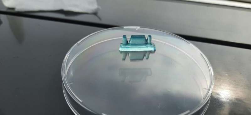 New natural hydrogel inks for digital light processing 3D printing