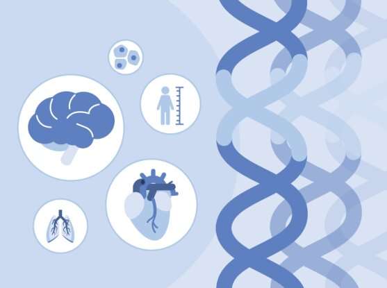 New online resource helps connect rare genetic variants to human health and disease