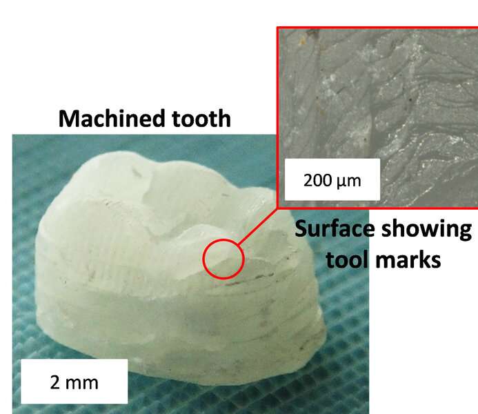 New plant-derived composite is tough as bone and hard as aluminum