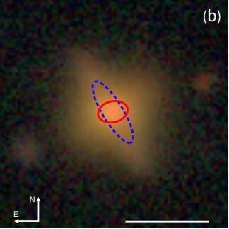 New polar ring galaxy discovered