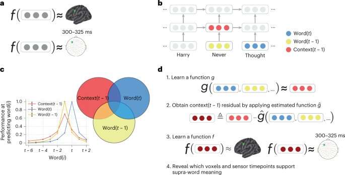 New research investigates how the brain processes language