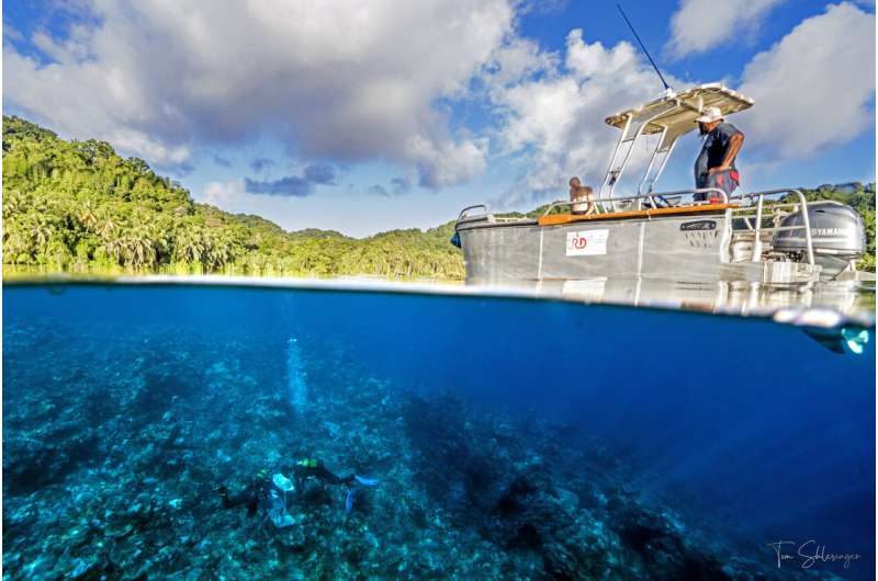 New research recommends multinational ocean sanctuaries to help corals survive climate change