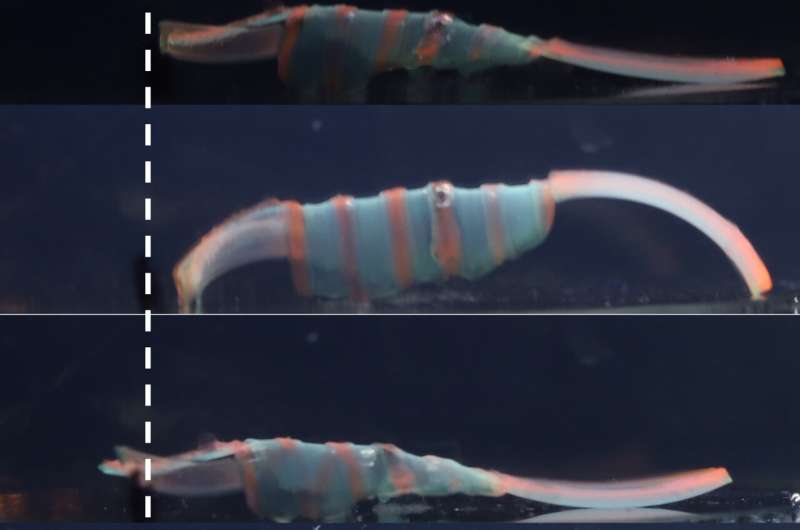 New robot does 'the worm' when temperature changes