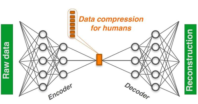 New software based on 'artificial intelligence' helps to interpret complex data