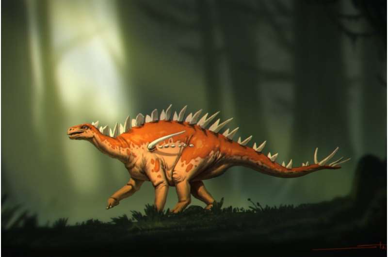 New species of stegosaur is oldest discovered in Asia, and possibly the world