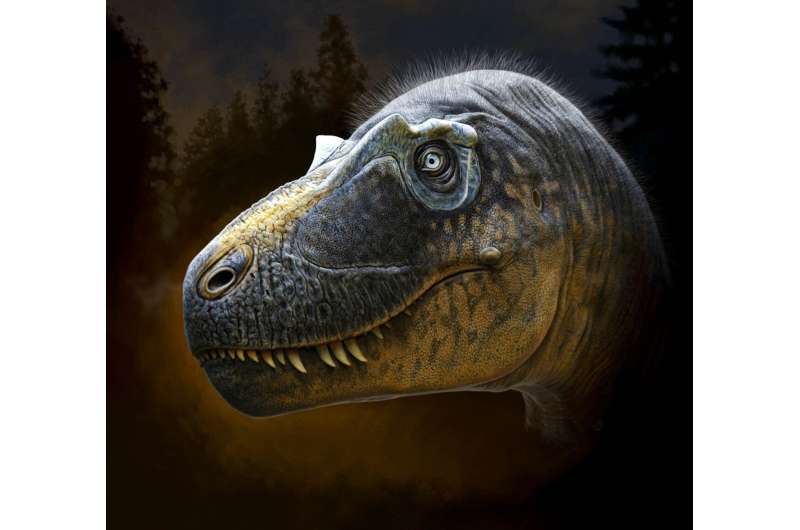 New species of tyrannosaur hints at ancestor of T. rex