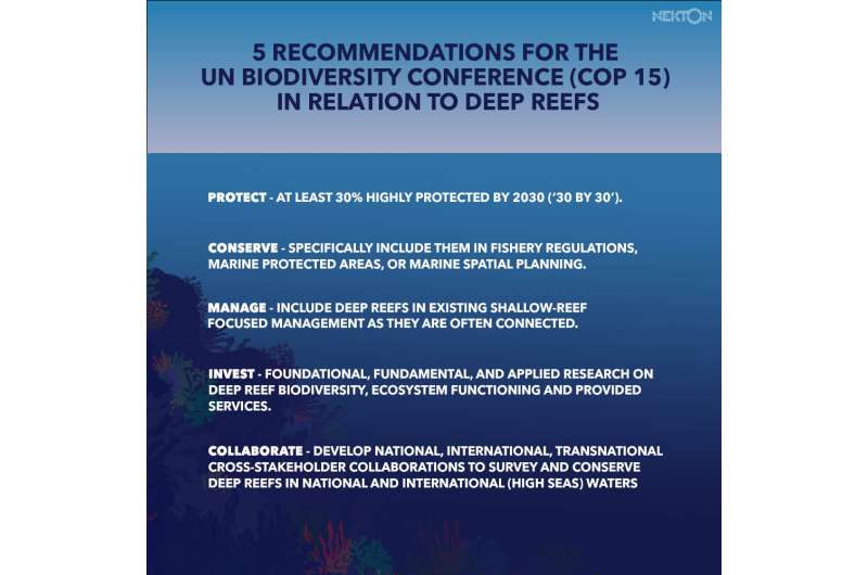 New study highlights urgent need to safeguard deep reefs—one of the largest and least protected ecosystems