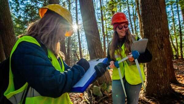 New study outlines ways to recruit more women for bioenergy, forestry