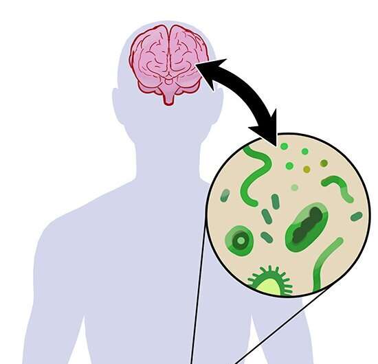 New study puts gut microbiome at the center of Parkinson's disease pathogenesis