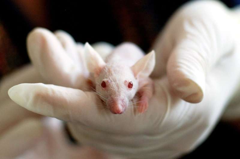 New testing methods can spare laboratory animals