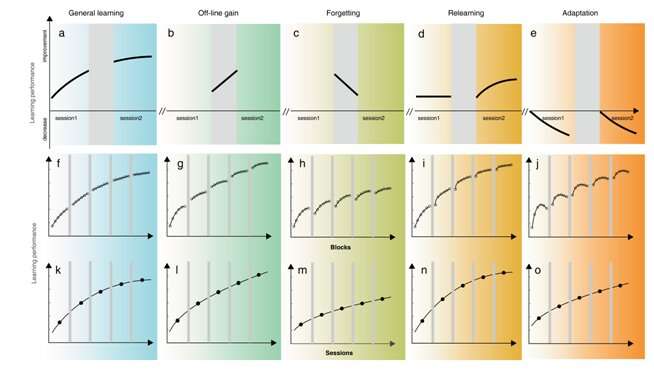 New theoretical model reveals multiple component processes in perceptual learning