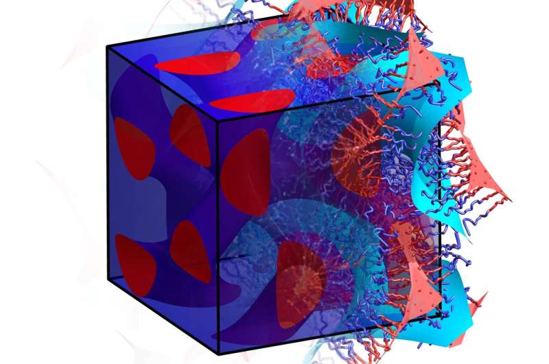 Eine neue Theorie verspricht, unsere Denkweise über Polymer-Überstrukturen neu zu gestalten