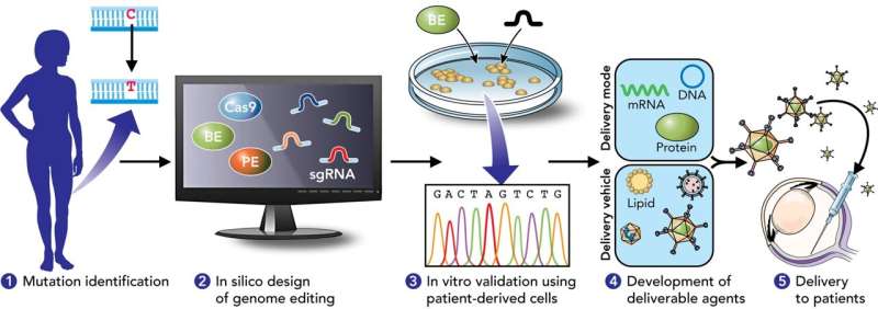 New UCI-led report illustrates potential of precision genome editing in treating inherited retinal diseases