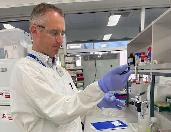 New vaccine takes aim at koala chlamydia