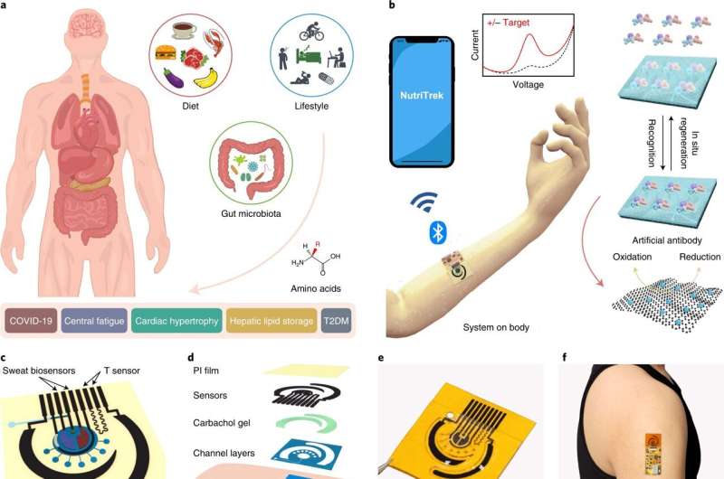 New wearable sensor detects even more compounds in human sweat