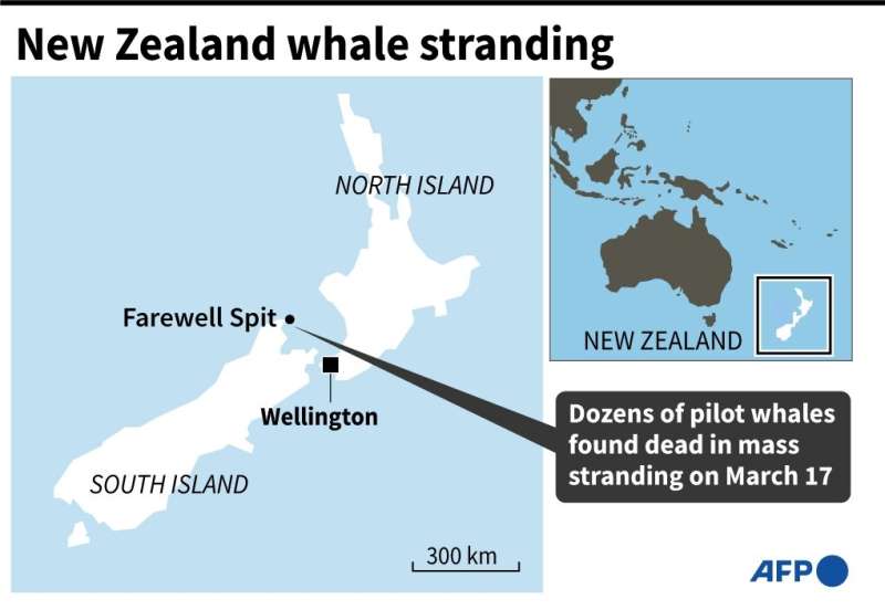 New Zealand whale stranding