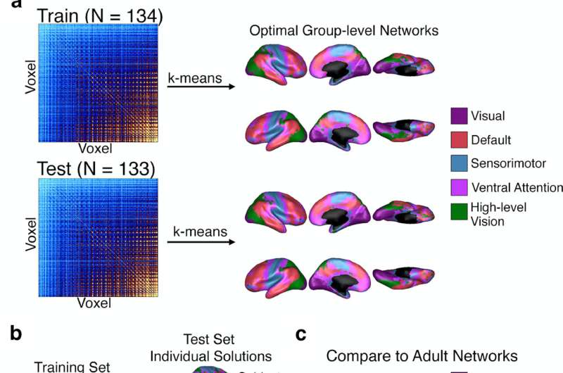 Newborns’ brains already organized into functional networks