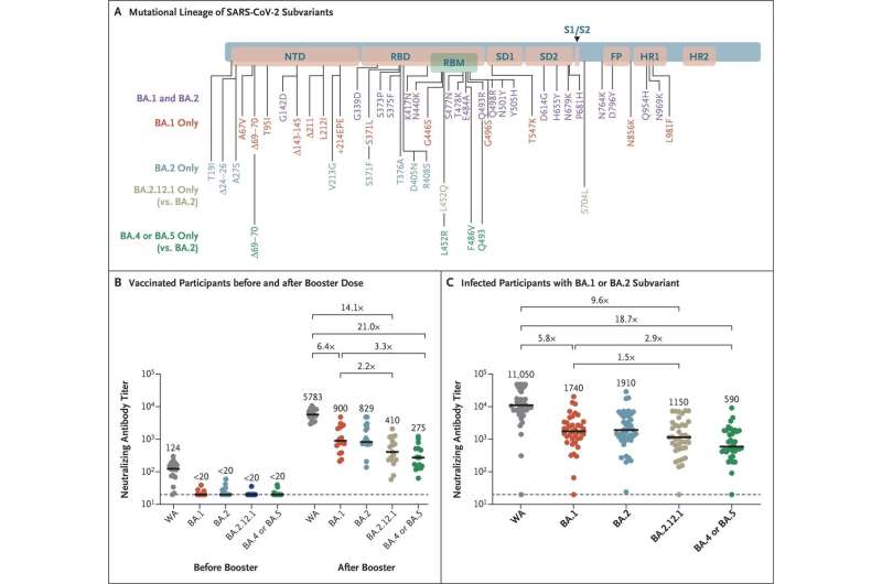 Newer COVID-19 subvariants are less vulnerable to immunity induced by vaccination and previous infection