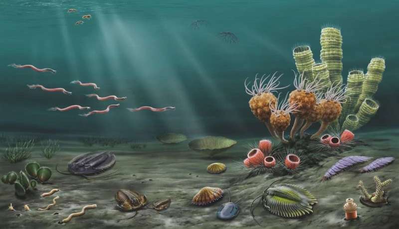 Newly discovered Liexi fauna reveals early stage of great Ordovician biodiversification event