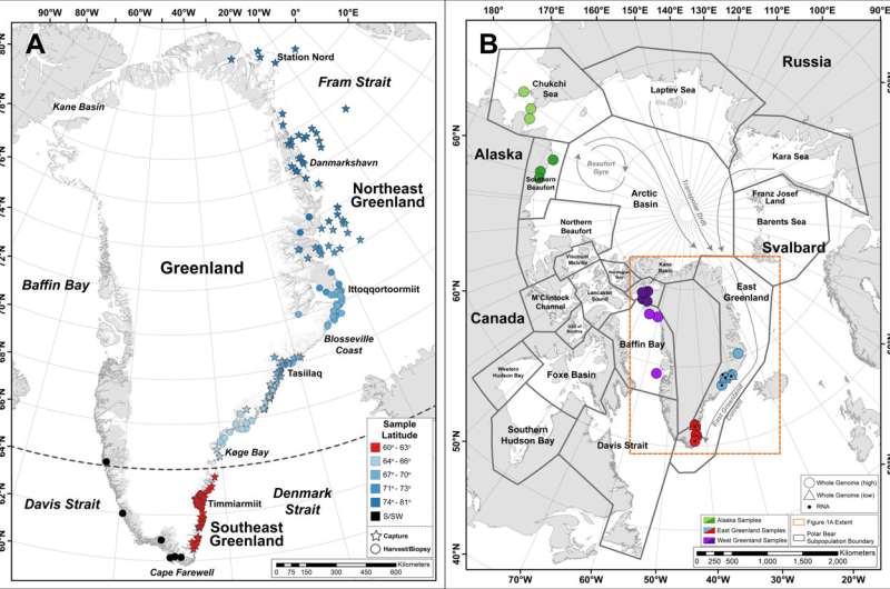 Newly documented population of polar bears in Southeast Greenland sheds light on the species' future in a warming Arctic